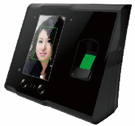 ��Ę���ڙCF203FT